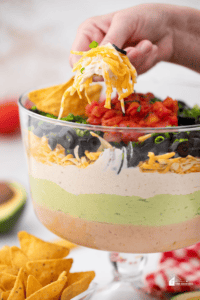 7 Layer Mexican Dip Recipe My Stay At Home Adventures 7 Layer Mexican Dip Recipe My Stay At Home Adventures