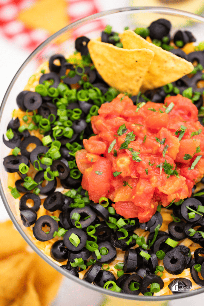 Pin image of 7 Layer Mexican Dip