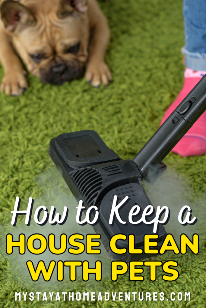 an image of woman cleaning the carpet with a dog near her