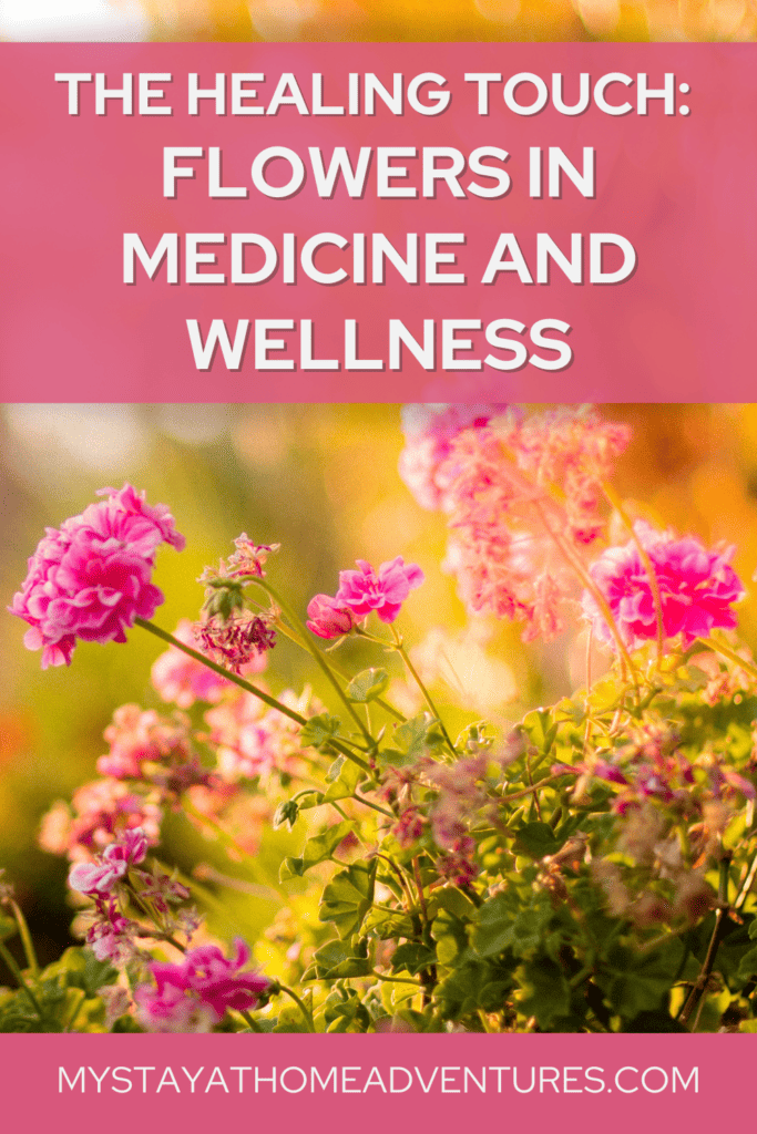 Close up of flowers with text: The Healing Touch: Flowers in Medicine and Wellness