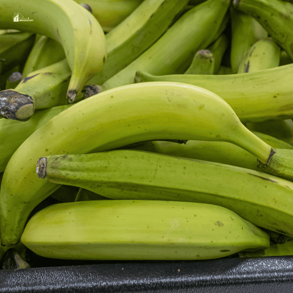 under ripe plantains in a grocery store