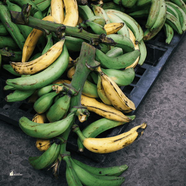 ripe and under ripe plantain on the floor