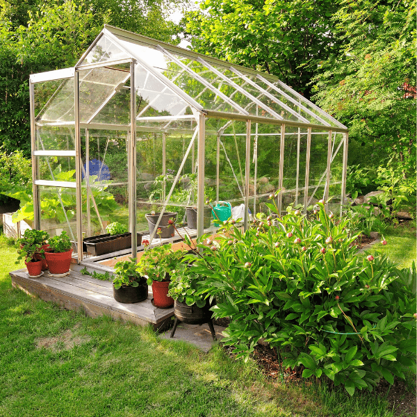 Selecting the Right Greenhouse Shelving: Enhancing Your Gardening Experience