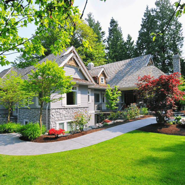 Landscaped Yard