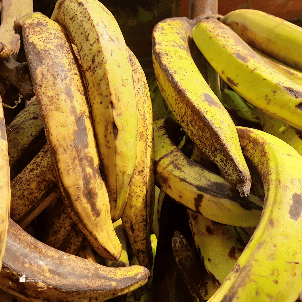 an image of overripe plantain