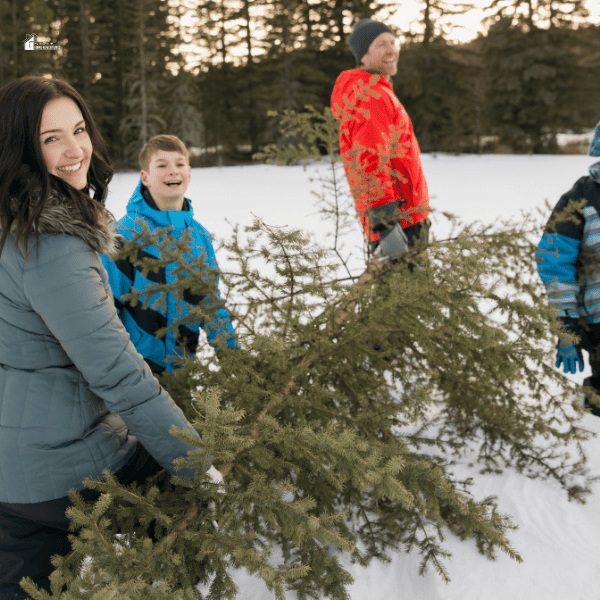 Family carrying cut down Christmas tree in snow