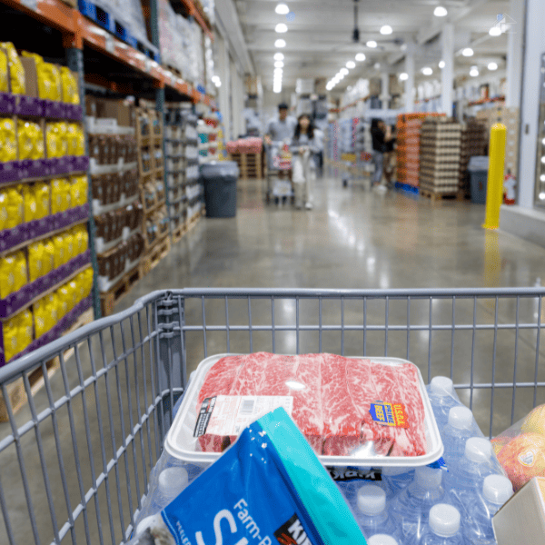 shopping cart full of items inside a membership store.