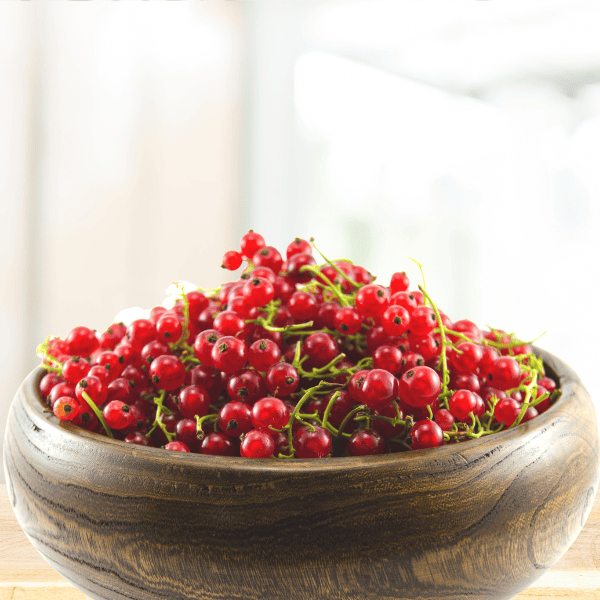 Red currant in a bowl