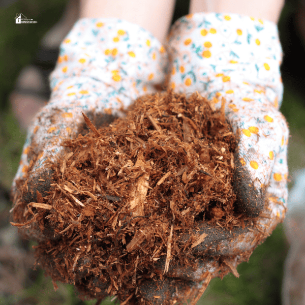 Maximizing Plant Health: The Science Behind Mulch Composition and Microbial Interactions