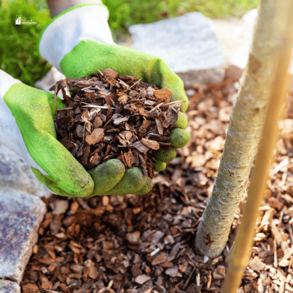 mulching flowerbed with pine tree bark mulch