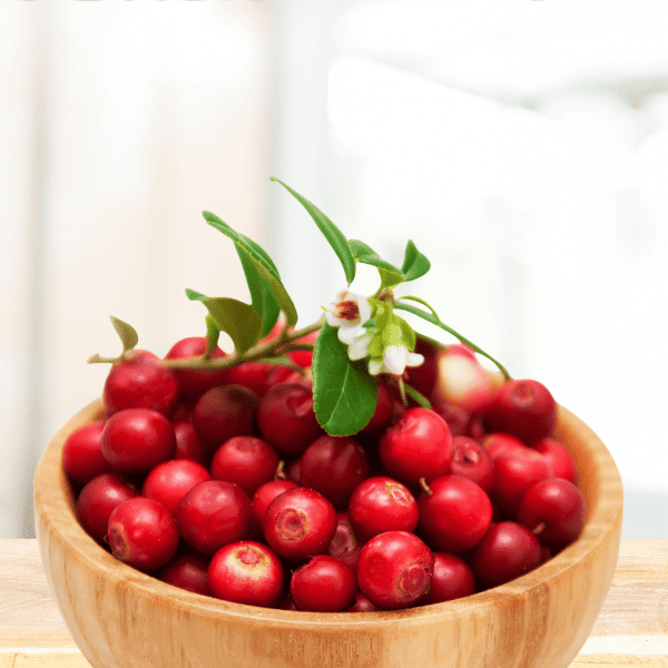 bowl of cranberries on counter