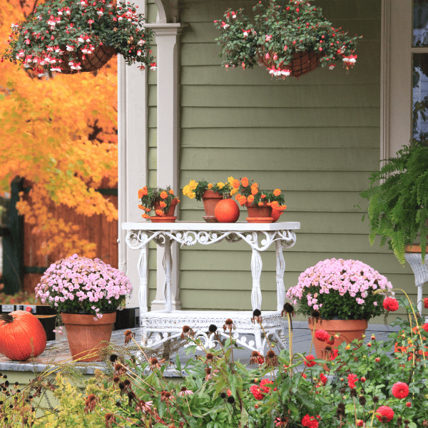 A beautiful decorated porch at Thanksgiving.