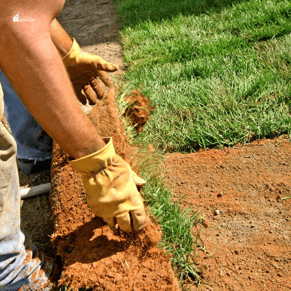 an image of landscaping project