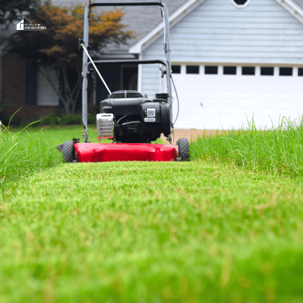 Lawn Mowing