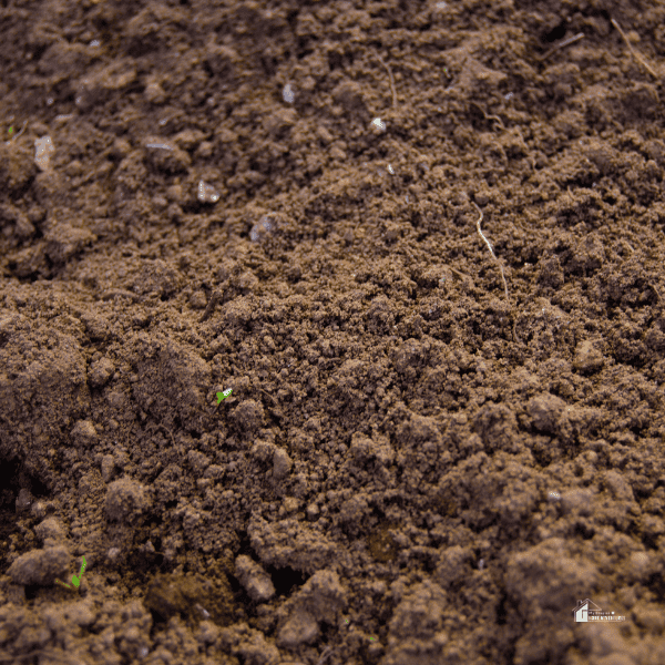 an image of soil