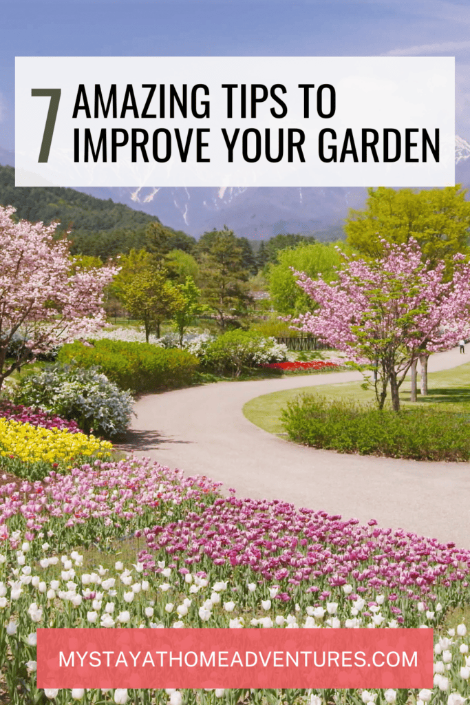 Colorful Flowers in a Garden with text: "7 amazing tips to improve your garden"