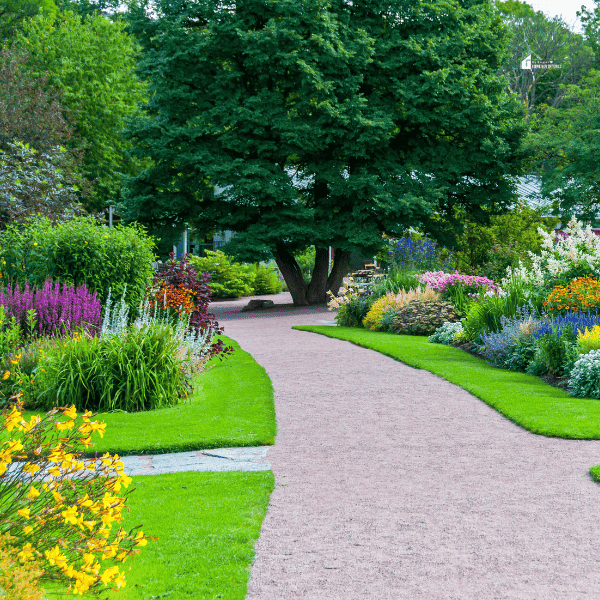 an image of a garden