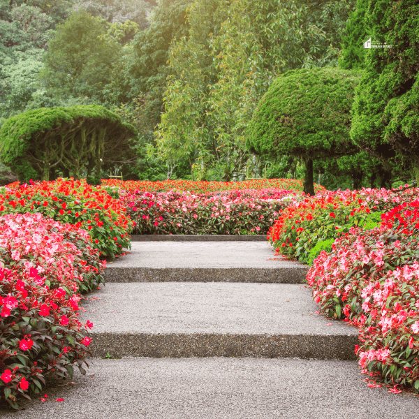 Colorful Flowers in a Garden image