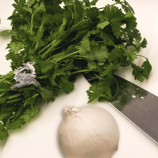 Fresh cilantro and onion