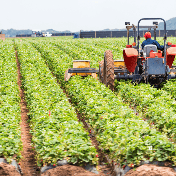 a farming equipment in the middle of the field