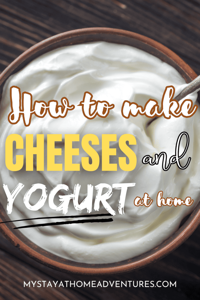 homemade yogurt with text: "How to Make Cheeses and Yogurt at Home"