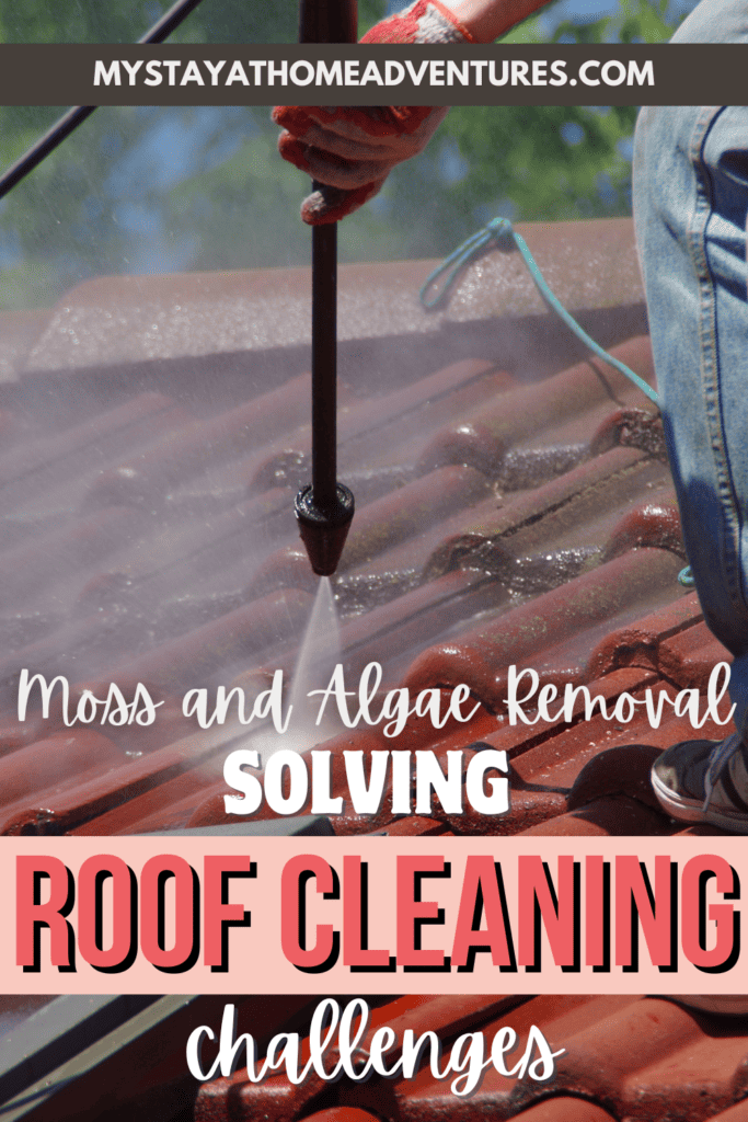 a man cleaning roof with algae and molds with text: "Moss and Algae Removal: Solving Roof Cleaning Challenges"