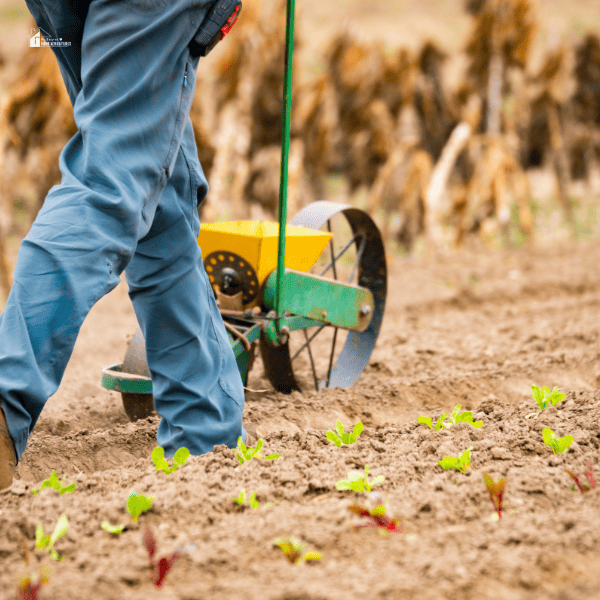 man farming