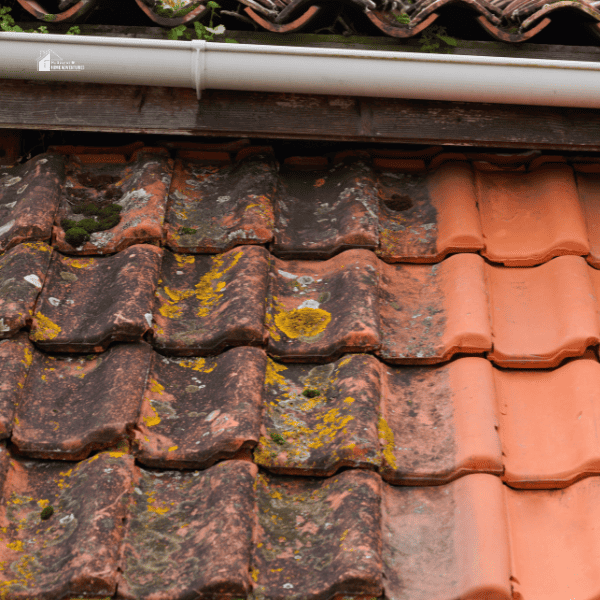 a roof with algae and molds