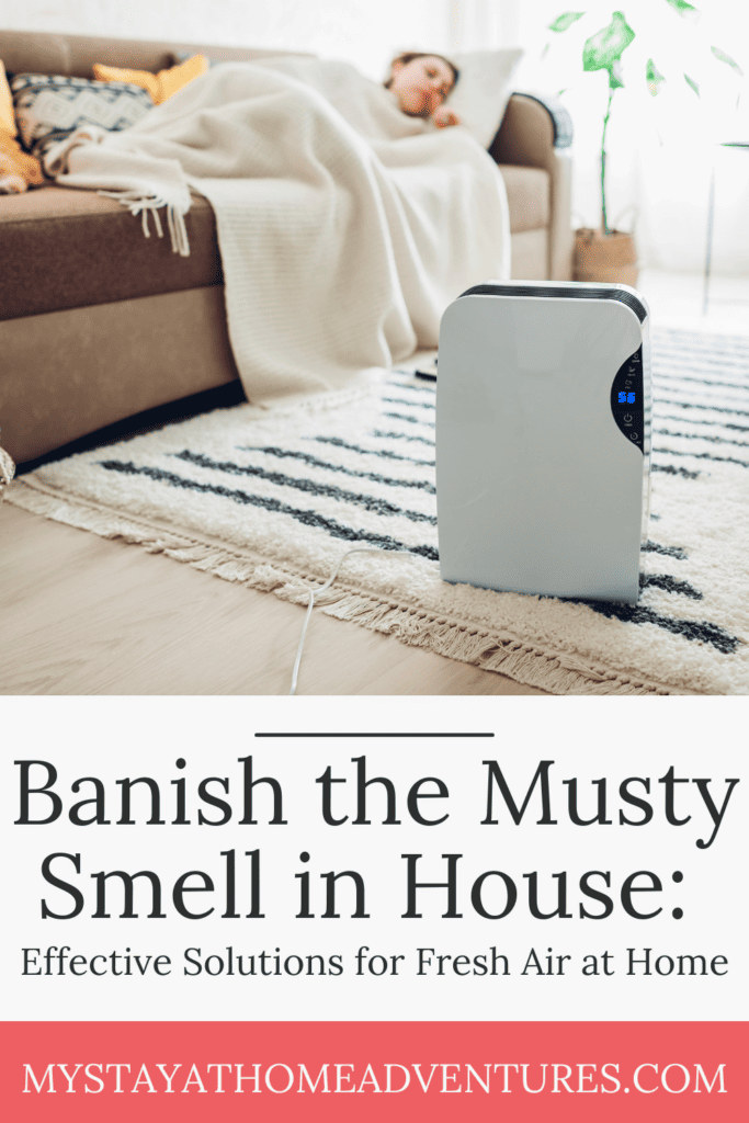 dehumidifier in a living room with text: "Banish the Musty Smell in House Effective Solutions for Fresh Air at Home"