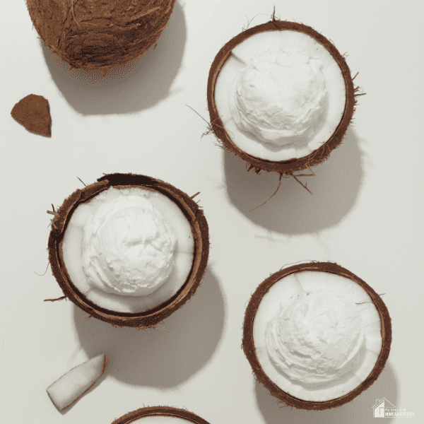 An image of coconut ice cream inside a coconut shell.