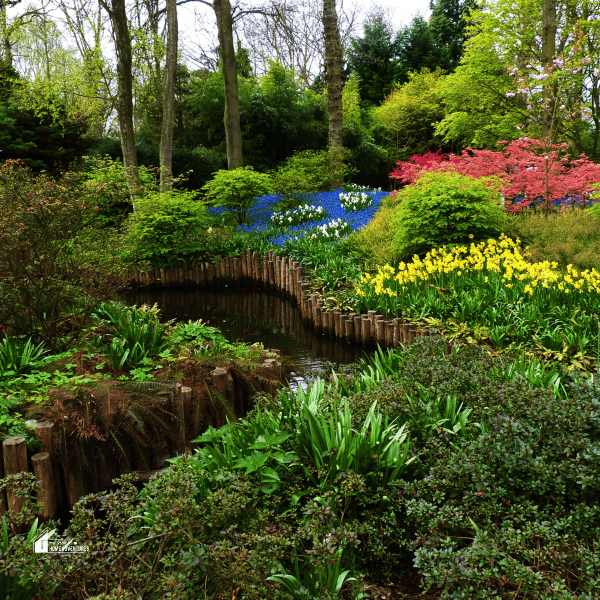 How Artificial Intelligence is Shaping the Future of Garden Design