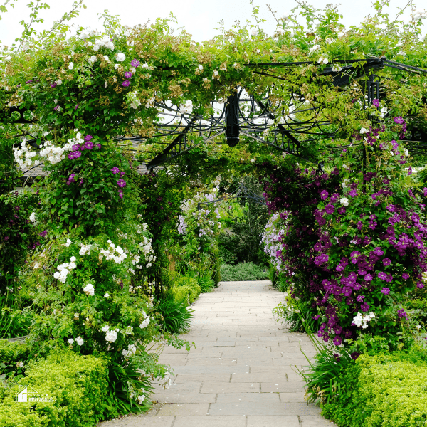 Garden Trellis