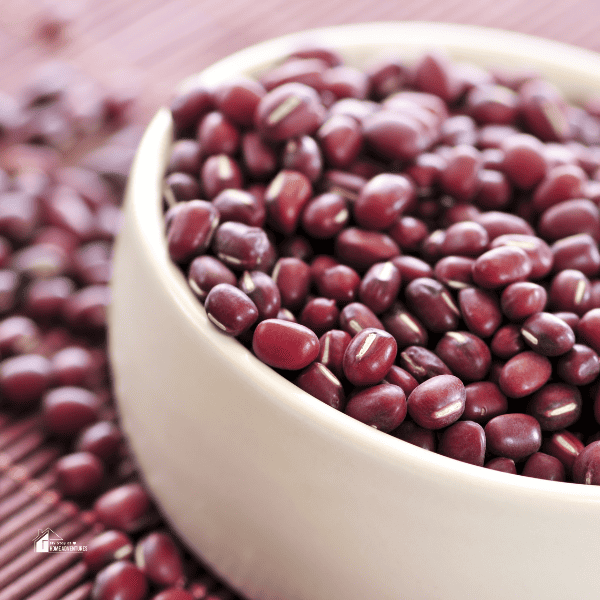 Dried Red Beans