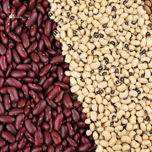 How Many Cups Of Dried Beans Per Person My Stay At Home Adventures