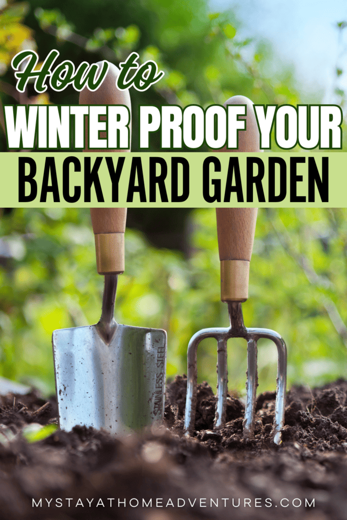 Gardening Hand Trowel and Fork Standing in Garden Soil with text: "How To Winter Proof Your Backyard Garden"