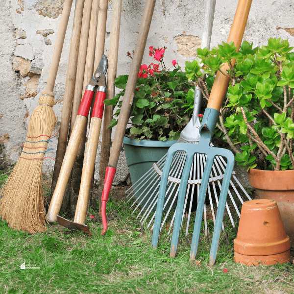 How To Winter Proof Your Backyard Garden