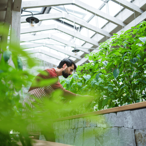 a gardener assessing his garden 