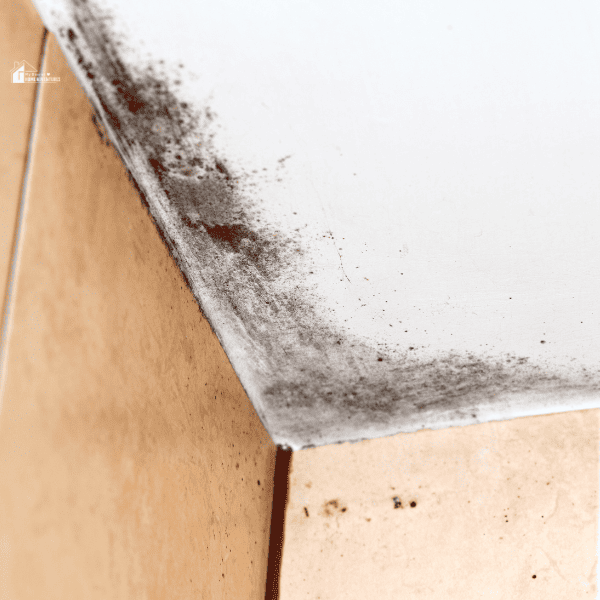 mold in a bathroom ceiling