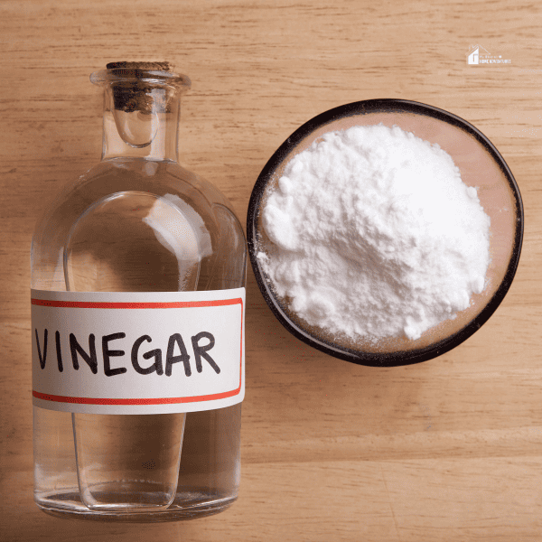 vinegar and salt