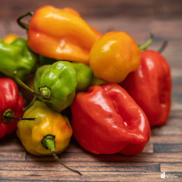 A closeup image of Habanero peppers.