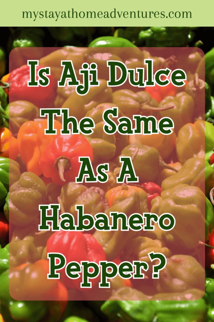 A pinterest image of Aji Dulce peppers in the background with the text - Is Aji Dulce the Same as a Habanero Pepper? The site's link is also included in the image.