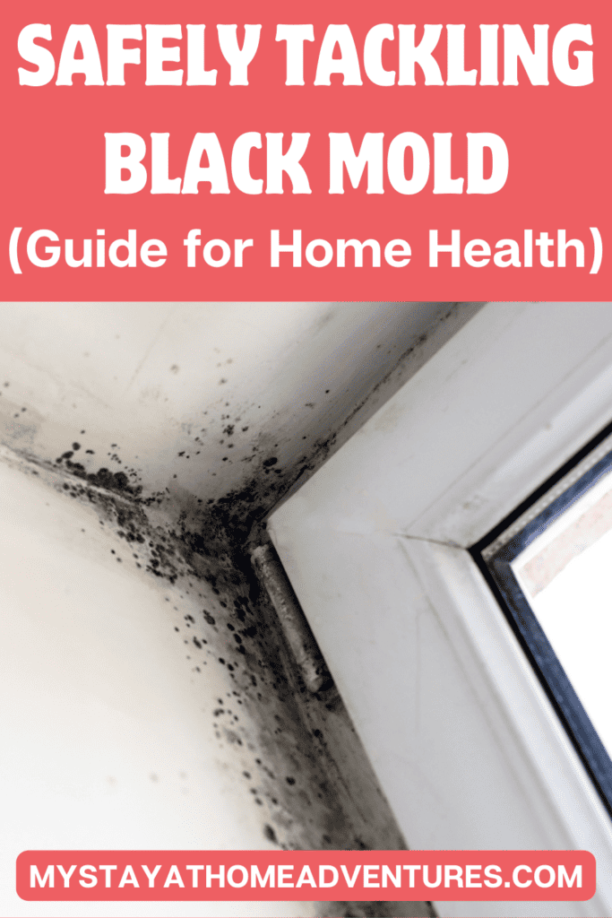 an image of mold in a wall with text: "Safely Tackling Black Mold Guide for Home Health"