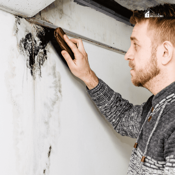 man removes black mold on the wall after leakage