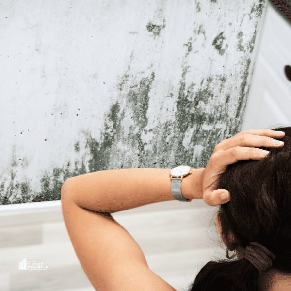 Woman Looking At Mold Wall Damage