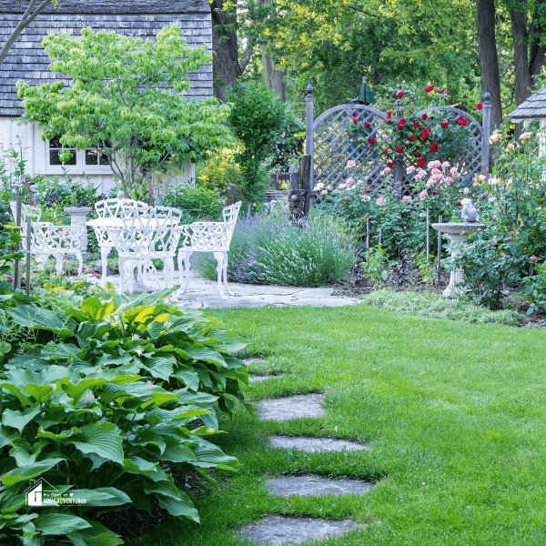 an image of a garden