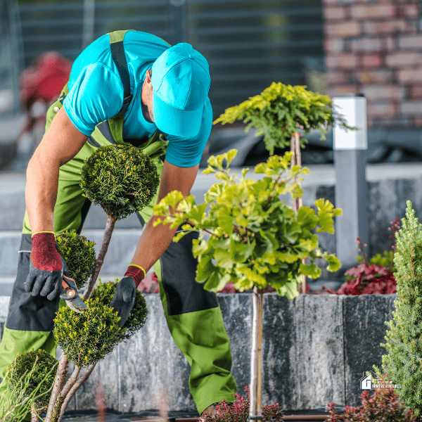 Professional landscaper