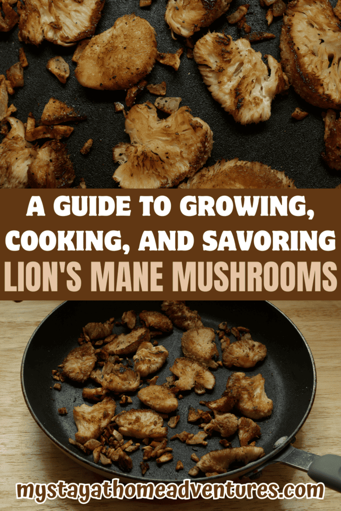 collage image with text: "A Guide to Growing, Cooking, and Savoring Lion's Mane Mushrooms"