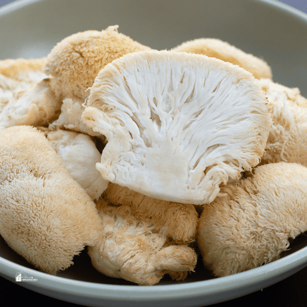 Fresh lion's mane mushroom on dark background.