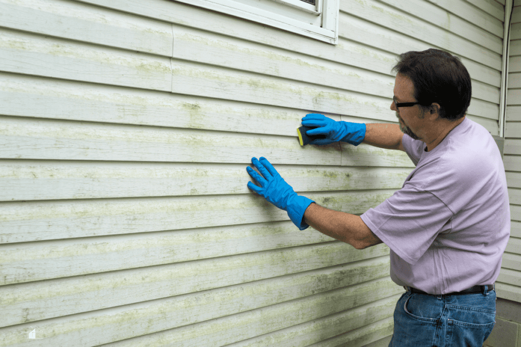 Men cleaning mold and algae from vinyl siding.