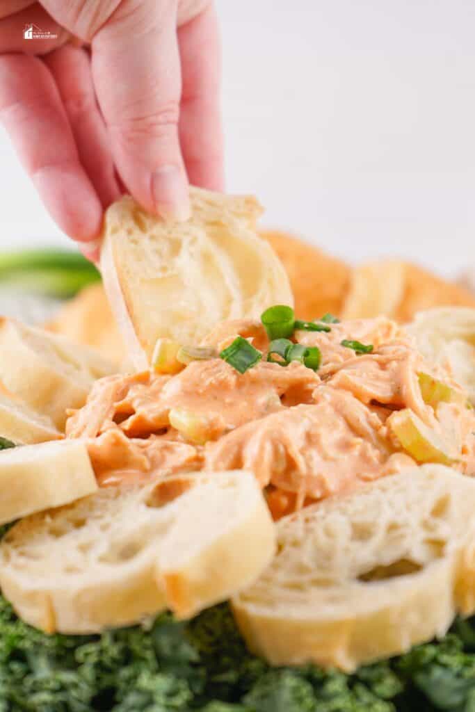 bread slice being dipped in a buffalo chicken salad